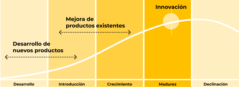 consultoria ciclo de vida 2 800