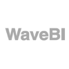 empresas con las que trabajamos: WaveBI